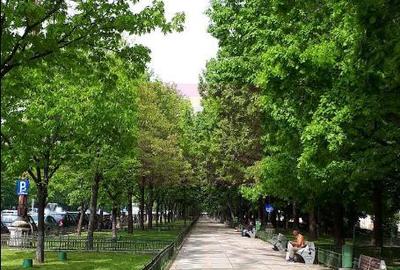 Apartament cu 3 camere decomandat în Unirii
