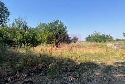 Teren agricol intravilan de 2976 mp, în Ordoreanu