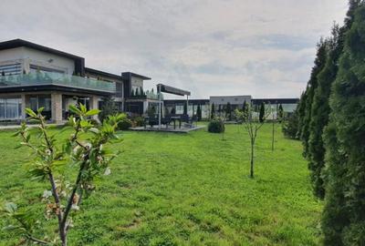 Vila ultrafinisata 550 mp utili si 2000 mp teren amenajat in Sibiu - 8