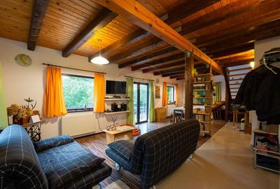 Casă de vânzare cu teren 2.340 mp și pârâu propriu — Bălilești, Argeș - 3