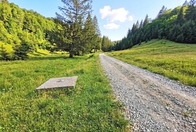 Oportunitate Investiție–Teren Intravilan 2.763 mp, Poiana Brașov Str. Stânii - 7
