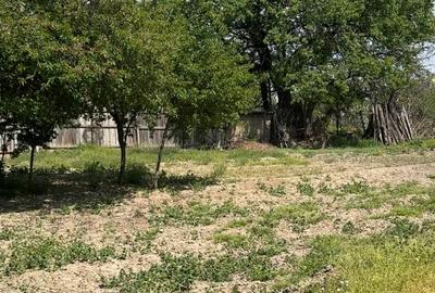 Teren intravilan Focsani - Golesti - 4