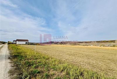 Teren extravilan 6.000 mp de vanzare | Sibiu - Daia | priveliste spectaculoasa - 4