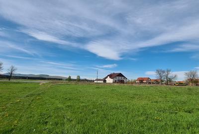 TEREN EXTRAVILAN - 2.100 mp - RECI - 1