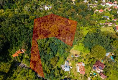 Teren 3.886 mp, Breaza - Podu Vadului, 30 m deschidere la asfalt - 4