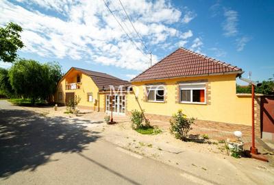 Casă individuală cu 10 camere în Sântana