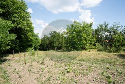 Casă de vânzare în Rotbav | Teren 1.500 mp | Zonă centrală - 8