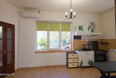 Lunei - Ion Neculce, 2 Apartamente. Mansarda 157 mp. Anexe, Lot 475 mp - 21