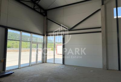Spatiu Industrial - Baciu - Constructie Noua - 7
