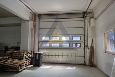 Industrial / Warehouse Space for Lease – Pielorex, Jilava - 2