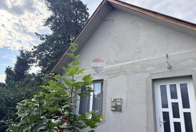 Casă individuală cu 2 camere în Ciocănești