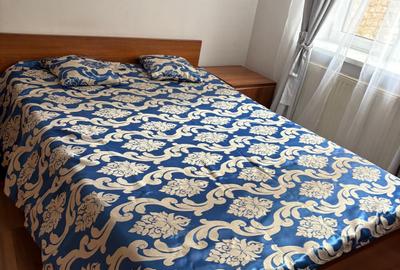 Ultracentral De inchiriat apartament 2 camere in vila pe Blv Schitu Magureanu - 2