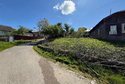 Casa si teren 1000 mp de vanzare Haulisca, Paulesti – 2 loturi, apa si curent - 5
