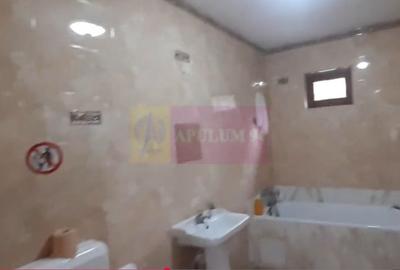 Vilă de închiriat în zona Mihai Bravu - 7