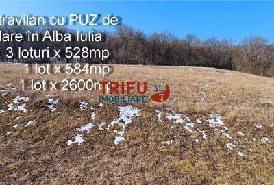 Teren Construcții intravilan de 4762 mp, în Ampoi 1