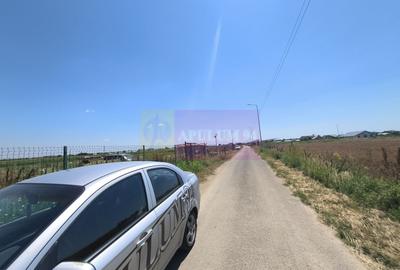 Teren Construcții intravilan de 582 mp, în Copăceni