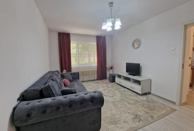 LIBER - Apartament central cu 2 camere - la 3 minute de PALAS CAMPUS - 10