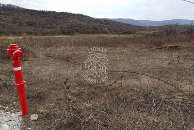 Teren Construcții intravilan de 550 mp, în Nord