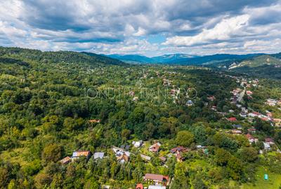 Teren 3.886 mp, Breaza - Podu Vadului, 30 m deschidere la asfalt - 8