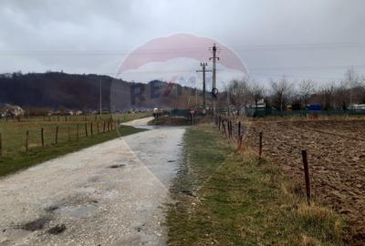 Teren agricol extravilan de 7150 mp, în Glăjărie