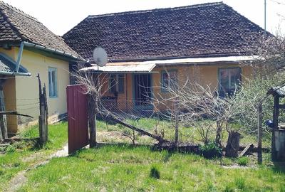 Casă individuală cu 2 camere în Ghinești