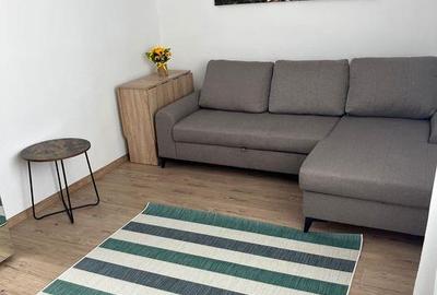 Apartament cu 2 camere decomandat, mobilat în Păcurari