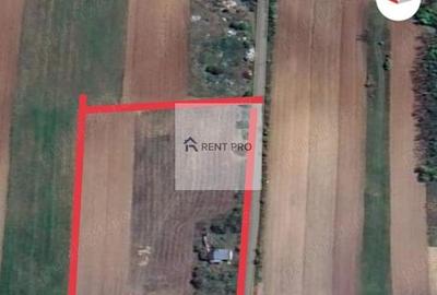 Teren de 11.000 mp cu casă și teren agricol | La 40 km de București | - 9