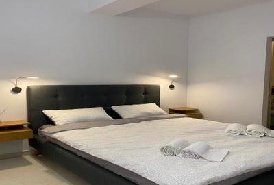 Apartament de inchiriat  zona Mall Doamna Stanca - 1