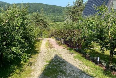Cabane A frame + Teren 6000 mp |  Proprietate deosebita, NOU - 18