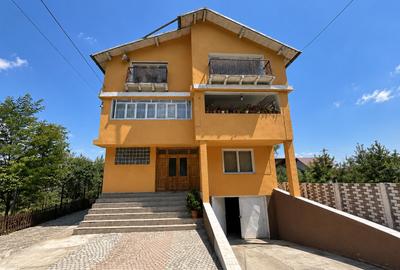 VAND O VILA IN PADUREA DIN FILIPESTI - 2