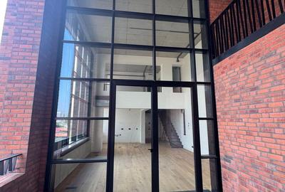 Loft spectaculos în complexul exclusivist Brick Loft|| 720.000 +TVA - 21