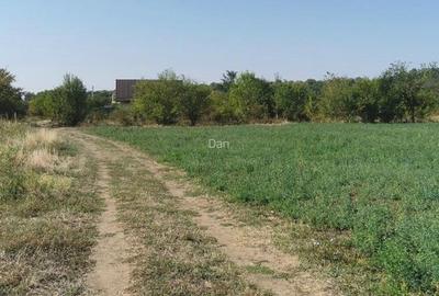 Vand 4 Loturi de teren langa A0 pod Domnesti - 7
