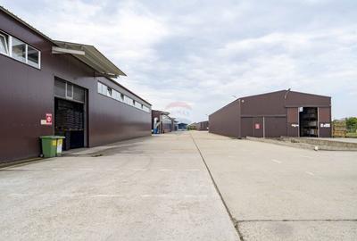 Proprietate industrială 5 hale, teren 21,105 mp, Santion, - 6