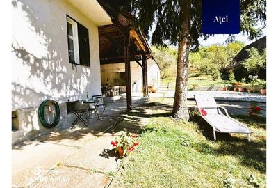 Casă săsească în Ațel, Sb– tradiție, natură și liniștea Transilvaniei - 14