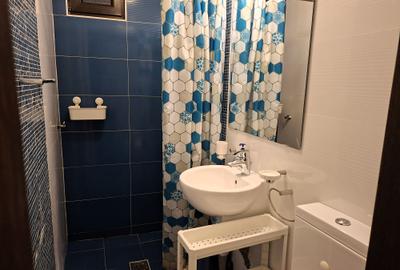 Apartament cu 2 camere de închiriat lângă Parcul Cinema Floreasca - comision 0%! - 17