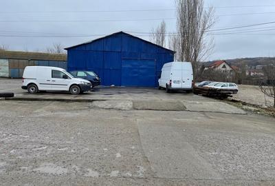 Vand teren cu hale 8.000 mp Sos. Bucium nr. 23 - 12