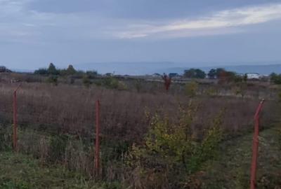 Teren de 1560 mp, în Valea Lupului