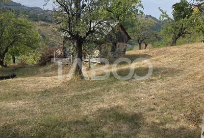 Teren de vanzare 8.300 mp Plesi Loman judetul Alba - 5