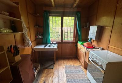 Cabana 5 camere, 75 mp| teren 900 mp| zona Iezer Ighiel - 7