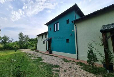 Vila + Afacere 15.000mp Clinceni - 5
