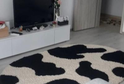 AP. 2 CAMERE METALURGIEI, CENTRALA PROPRIE, BUCATARIE INCHISA,BLOC NOU - 2