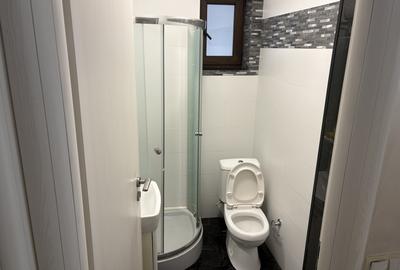Casă cu 3 camere recent renovată, zona Damaroaia, Bucurestii Noi - 11