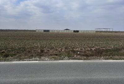 Teren Construcții intravilan de 1500 mp, în Pielești