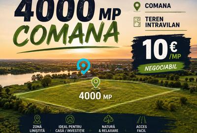 Teren Construcții intravilan de 4000 mp, în Comana