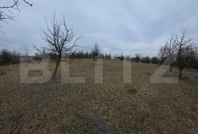 Teren Construcții extravilan de 900 mp, în Periferie