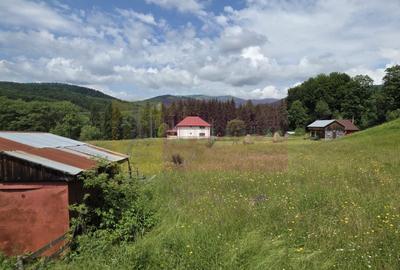 Vila din padure in Valea Doftanei - 35