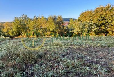 Teren agricol intravilan de 2617 mp, în Loamneș