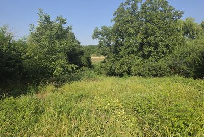 Branesti/Pasarea/Piteasca casa de vanzare deschidere la lac - 20