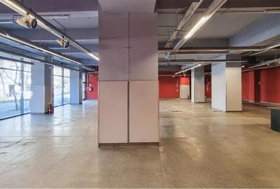 Spatiu Comercial | Ultracentral | Nicolae Titulescu | Piata Victoriei - 5