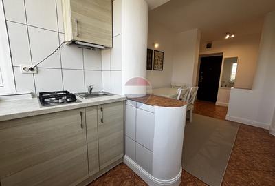 Garsonieră 45 mp, Bd. Unirii renovata, mobilată modern, gata de mutare - 8